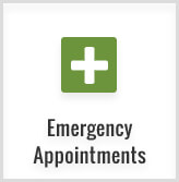 Emergency Appointments